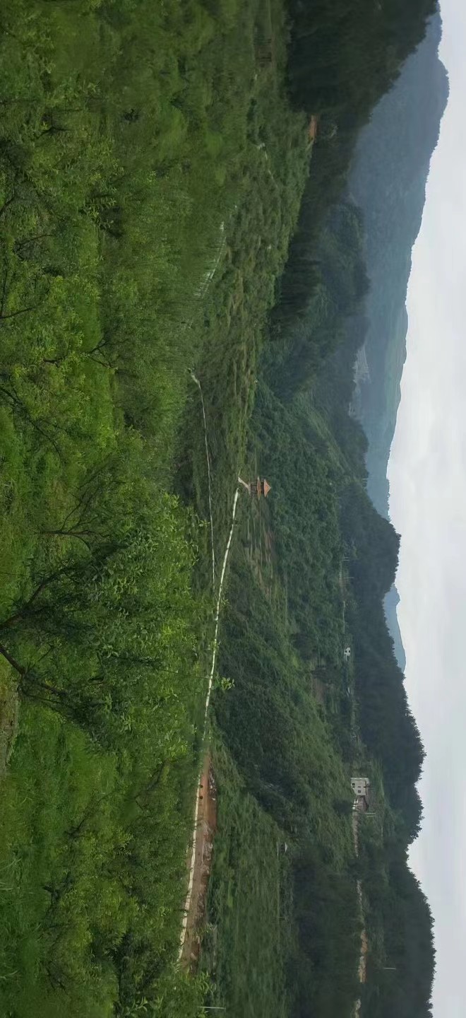 微信图片_20221102120826.jpg